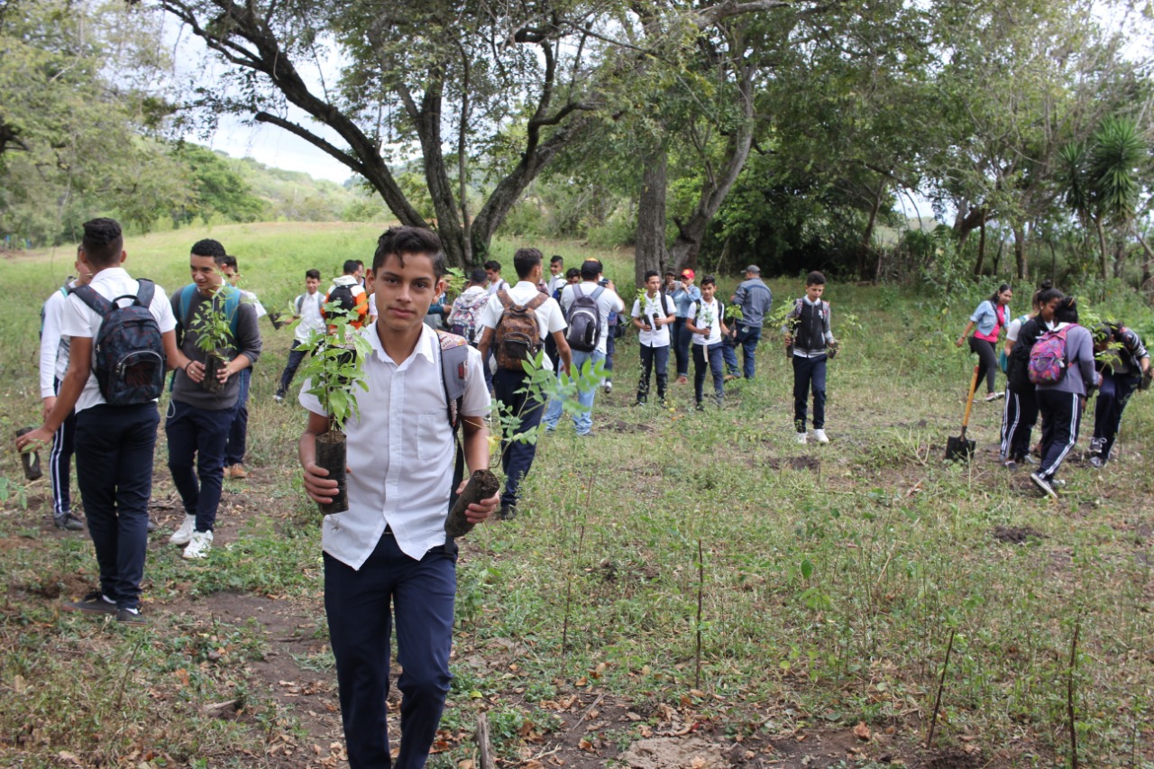 Reforesta2
